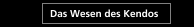 Das Wesen des Kendos